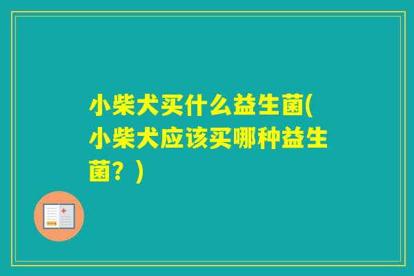 小柴犬买什么益生菌(小柴犬应该买哪种益生菌?) 小柴犬买什么益生菌(小柴犬应该买哪种益生菌?)
