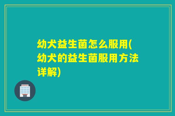 幼犬益生菌怎么服用(幼犬的益生菌服用方法详解)