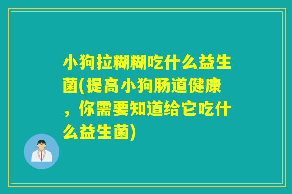 小狗拉糊糊吃什么益生菌(提高小狗肠道健康,你需要知道给它吃什么益生菌) 小狗拉糊糊吃什么益生菌(提高小狗肠道健康,你需要知道给它吃什么益生菌)