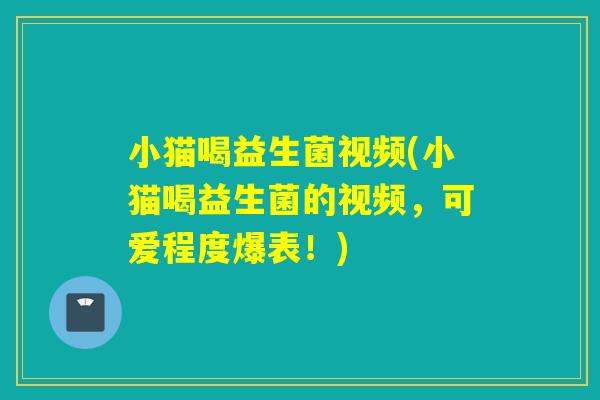 小猫喝益生菌视频(小猫喝益生菌的视频,可爱程度爆表!) 小猫喝益生菌视频(小猫喝益生菌的视频,可爱程度爆表!)