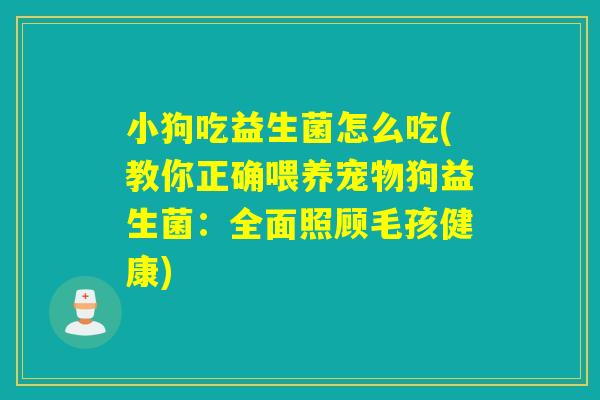 小狗吃益生菌怎么吃(教你正确喂养宠物狗益生菌:全面照顾毛孩健康) 小狗吃益生菌怎么吃(教你正确喂养宠物狗益生菌:全面照顾毛孩健康)