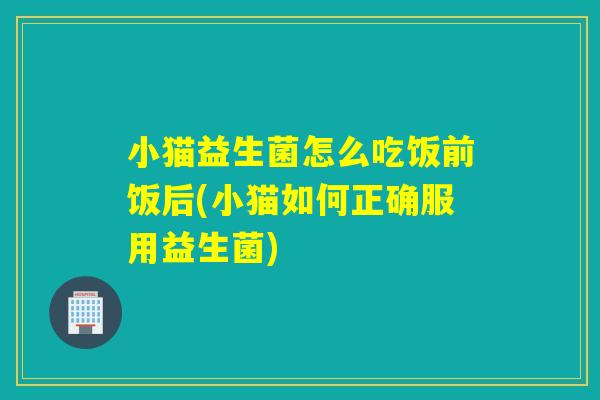小猫益生菌怎么吃饭前饭后(小猫如何正确服用益生菌) 小猫益生菌怎么吃饭前饭后(小猫如何正确服用益生菌)
