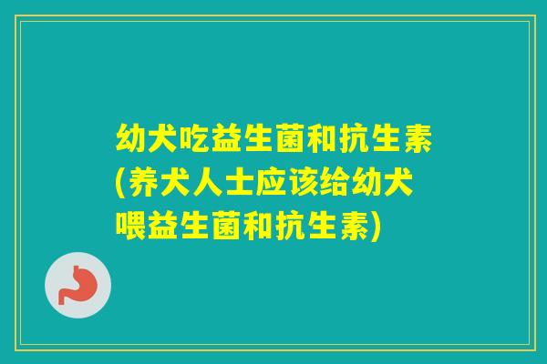 幼犬吃益生菌和抗生素(养犬人士应该给幼犬喂益生菌和抗生素) 幼犬吃益生菌和抗生素(养犬人士应该给幼犬喂益生菌和抗生素)