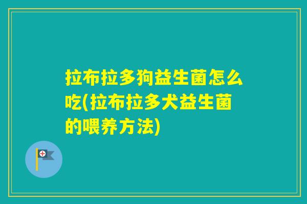拉布拉多狗益生菌怎么吃(拉布拉多犬益生菌的喂养方法) 拉布拉多狗益生菌怎么吃(拉布拉多犬益生菌的喂养方法)