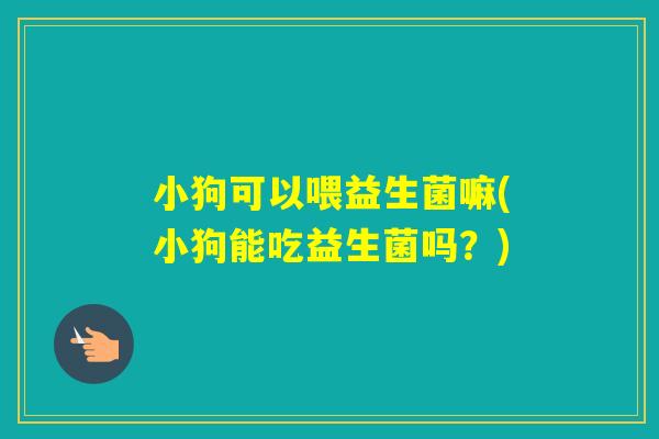 小狗可以喂益生菌嘛(小狗能吃益生菌吗？)