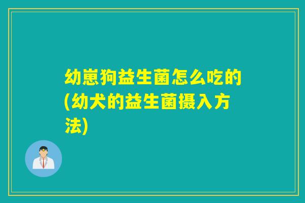 幼崽狗益生菌怎么吃的(幼犬的益生菌摄入方法)