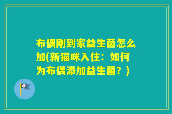 布偶刚到家益生菌怎么加(新猫咪入住:如何为布偶添加益生菌?) 布偶刚到家益生菌怎么加(新猫咪入住:如何为布偶添加益生菌?)
