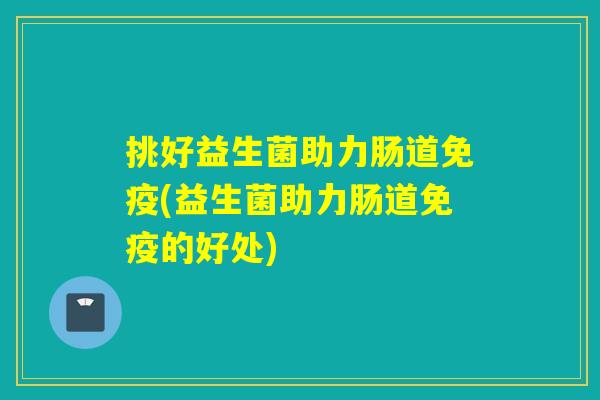 挑好益生菌助力肠道(益生菌助力肠道的好处)