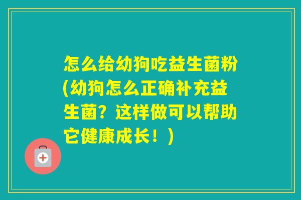 怎么给幼狗吃益生菌粉(幼狗怎么正确补充益生菌？这样做可以帮助它健康成长！)