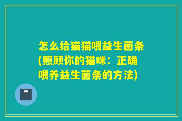 怎么给猫猫喂益生菌条(照顾你的猫咪:正确喂养益生菌条的方法) 怎么给猫猫喂益生菌条(照顾你的猫咪:正确喂养益生菌条的方法)