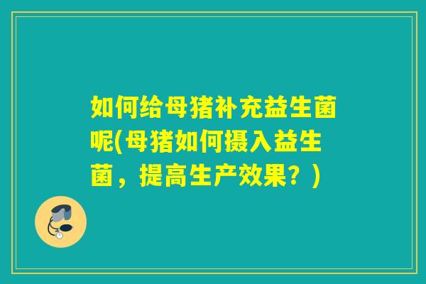 如何给母猪补充益生菌呢(母猪如何摄入益生菌，提高生产效果？)