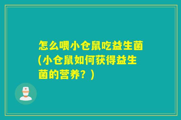 怎么喂小仓鼠吃益生菌(小仓鼠如何获得益生菌的营养？)