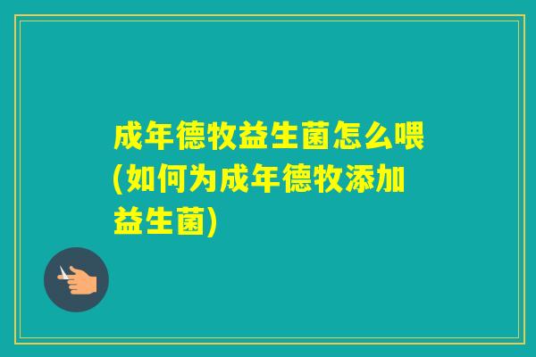 成年德牧益生菌怎么喂(如何为成年德牧添加益生菌)