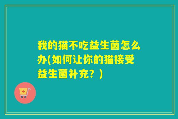 我的猫不吃益生菌怎么办(如何让你的猫接受益生菌补充？)