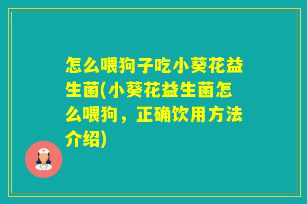 怎么喂狗子吃小葵花益生菌(小葵花益生菌怎么喂狗,正确饮用方法介绍) 怎么喂狗子吃小葵花益生菌(小葵花益生菌怎么喂狗,正确饮用方法介绍)