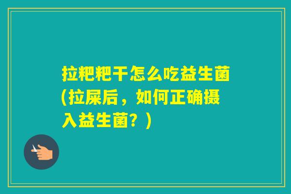 拉粑粑干怎么吃益生菌(拉屎后，如何正确摄入益生菌？)
