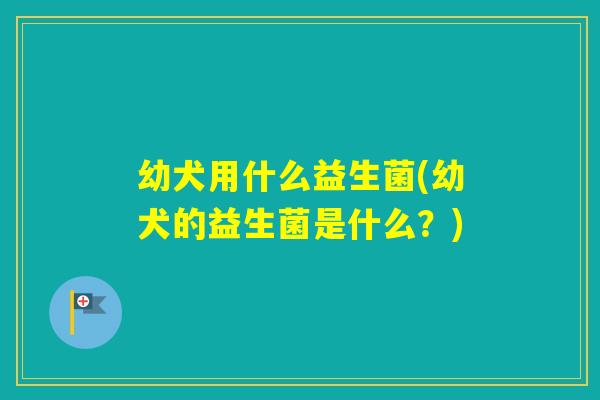 幼犬用什么益生菌(幼犬的益生菌是什么？)