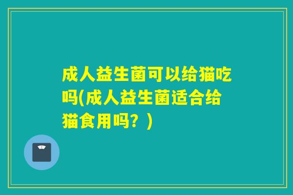 成人益生菌可以给猫吃吗(成人益生菌适合给猫食用吗?) 成人益生菌可以给猫吃吗(成人益生菌适合给猫食用吗?)