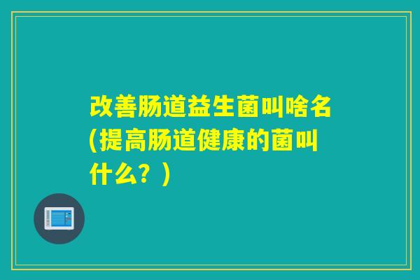改善肠道益生菌叫啥名(提高肠道健康的菌叫什么？)