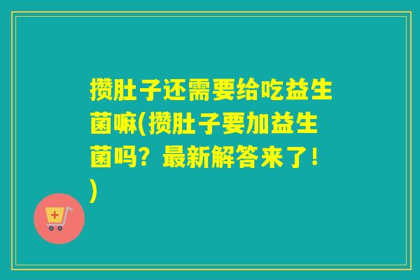 攒肚子还需要给吃益生菌嘛(攒肚子要加益生菌吗？新解答来了！)