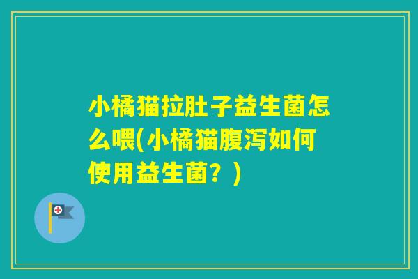 小橘猫拉肚子益生菌怎么喂(小橘猫如何使用益生菌？)