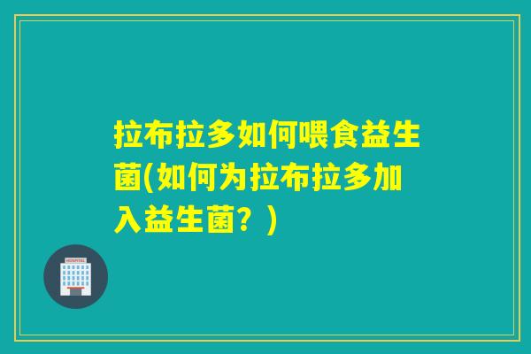 拉布拉多如何喂食益生菌(如何为拉布拉多加入益生菌?) 拉布拉多如何喂食益生菌(如何为拉布拉多加入益生菌?)