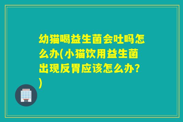 幼猫喝益生菌会吐吗怎么办(小猫饮用益生菌出现反胃应该怎么办？)