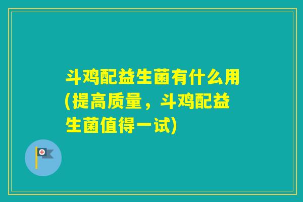斗鸡配益生菌有什么用(提高质量,斗鸡配益生菌值得一试) 斗鸡配益生菌有什么用(提高质量,斗鸡配益生菌值得一试)