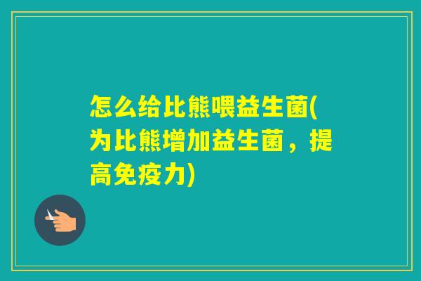 怎么给比熊喂益生菌(为比熊增加益生菌，提高力)