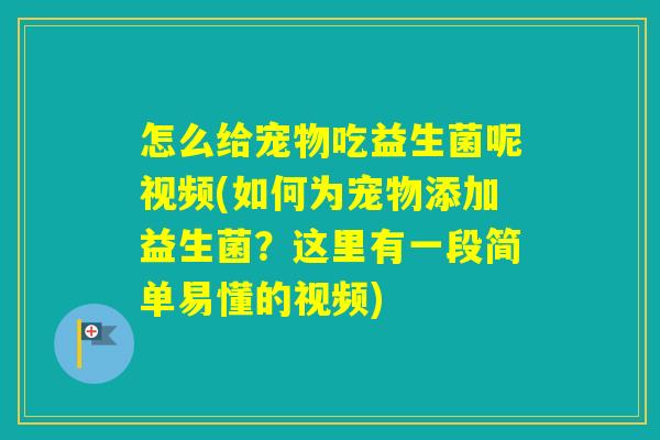 怎么给宠物吃益生菌呢视频(如何为宠物添加益生菌？这里有一段简单易懂的视频)