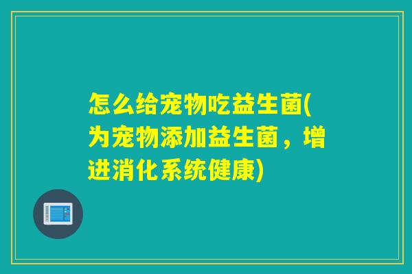 怎么给宠物吃益生菌(为宠物添加益生菌，增进消化系统健康)
