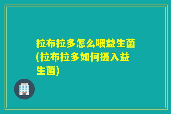 拉布拉多怎么喂益生菌(拉布拉多如何摄入益生菌) 拉布拉多怎么喂益生菌(拉布拉多如何摄入益生菌)