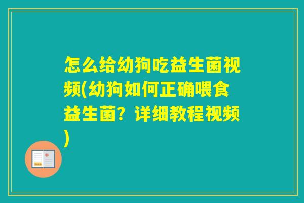 怎么给幼狗吃益生菌视频(幼狗如何正确喂食益生菌？详细教程视频)