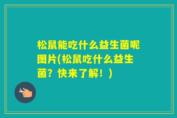 松鼠能吃什么益生菌呢图片(松鼠吃什么益生菌?快来了解!) 松鼠能吃什么益生菌呢图片(松鼠吃什么益生菌?快来了解!)