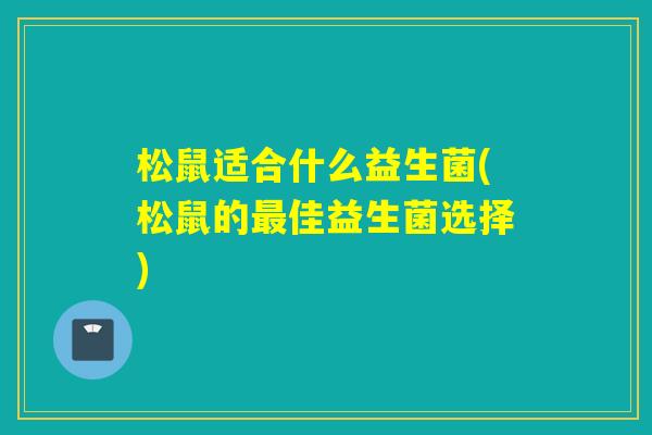松鼠适合什么益生菌(松鼠的佳益生菌选择)