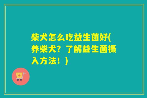 柴犬怎么吃益生菌好(养柴犬?了解益生菌摄入方法!) 柴犬怎么吃益生菌好(养柴犬?了解益生菌摄入方法!)