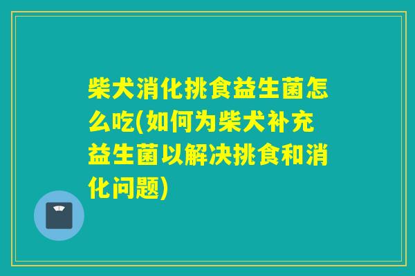 柴犬消化挑食益生菌怎么吃(如何为柴犬补充益生菌以解决挑食和消化问题)