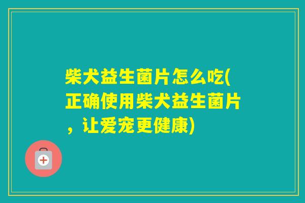 柴犬益生菌片怎么吃(正确使用柴犬益生菌片，让爱宠更健康)