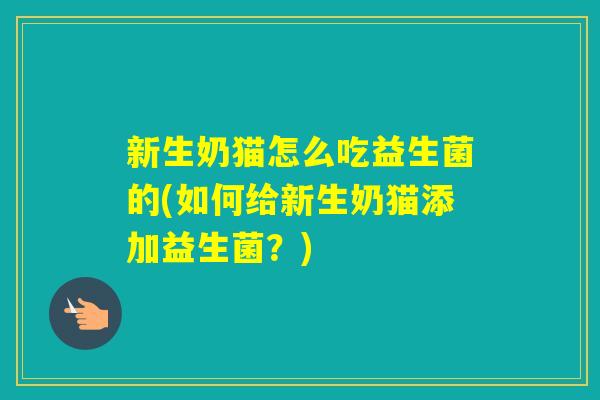 新生奶猫怎么吃益生菌的(如何给新生奶猫添加益生菌？)