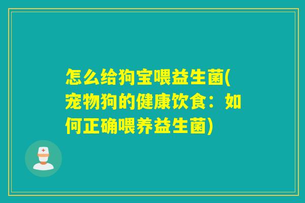 怎么给狗宝喂益生菌(宠物狗的健康饮食：如何正确喂养益生菌)