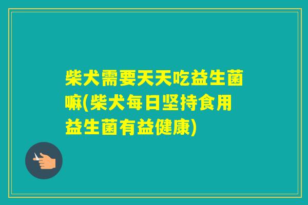柴犬需要天天吃益生菌嘛(柴犬每日坚持食用益生菌有益健康) 柴犬需要天天吃益生菌嘛(柴犬每日坚持食用益生菌有益健康)