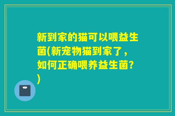 新到家的猫可以喂益生菌(新宠物猫到家了,如何正确喂养益生菌?) 新到家的猫可以喂益生菌(新宠物猫到家了,如何正确喂养益生菌?)