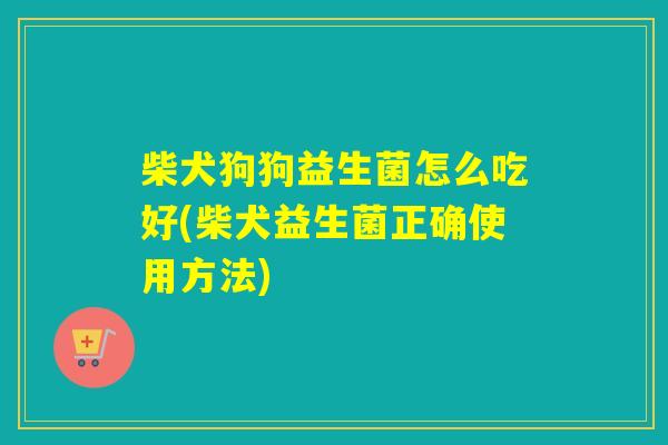 柴犬狗狗益生菌怎么吃好(柴犬益生菌正确使用方法)