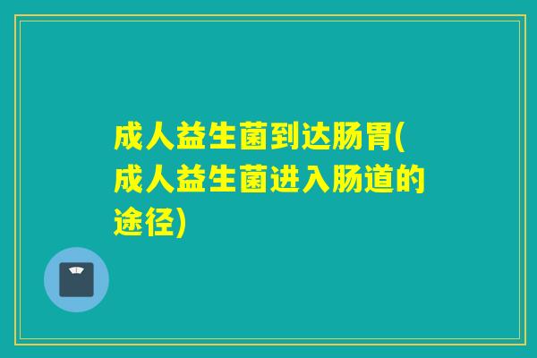 成人益生菌到达肠胃(成人益生菌进入肠道的途径)