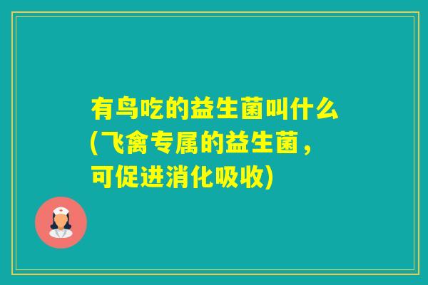 有鸟吃的益生菌叫什么(飞禽专属的益生菌,可促进消化吸收) 有鸟吃的益生菌叫什么(飞禽专属的益生菌,可促进消化吸收)