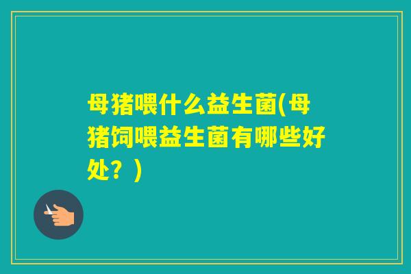 母猪喂什么益生菌(母猪饲喂益生菌有哪些好处?) 母猪喂什么益生菌(母猪饲喂益生菌有哪些好处?)