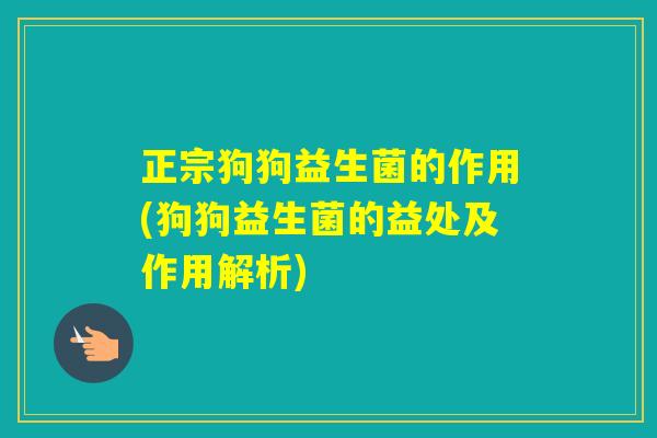正宗狗狗益生菌的作用(狗狗益生菌的益处及作用解析)