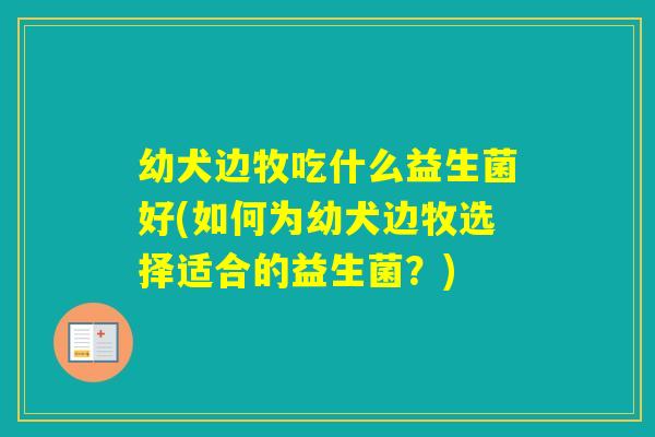 幼犬边牧吃什么益生菌好(如何为幼犬边牧选择适合的益生菌？)