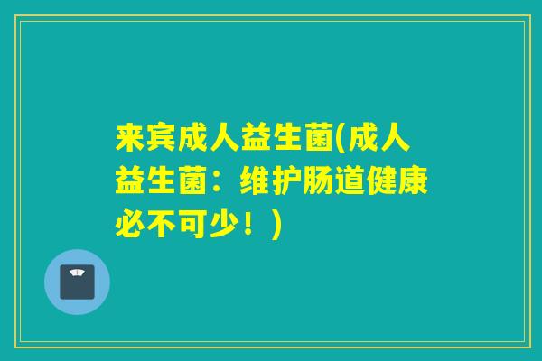 来宾成人益生菌(成人益生菌：维护肠道健康必不可少！)