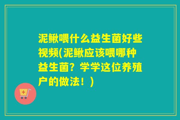 泥鳅喂什么益生菌好些视频(泥鳅应该喂哪种益生菌？学学这位养殖户的做法！)